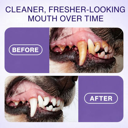 Dusksatin™ Advanced Pet Oral Spray | Fresher Breath, Plaque Biofilm & Gum Care — No Brushing